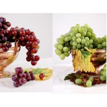 Flame & Thompson Combo 2 KG