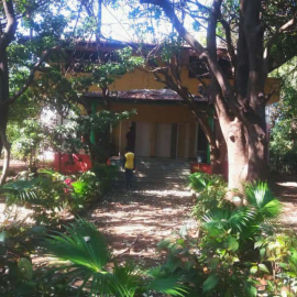 Grape Plucking, Dine & Cottage Stay